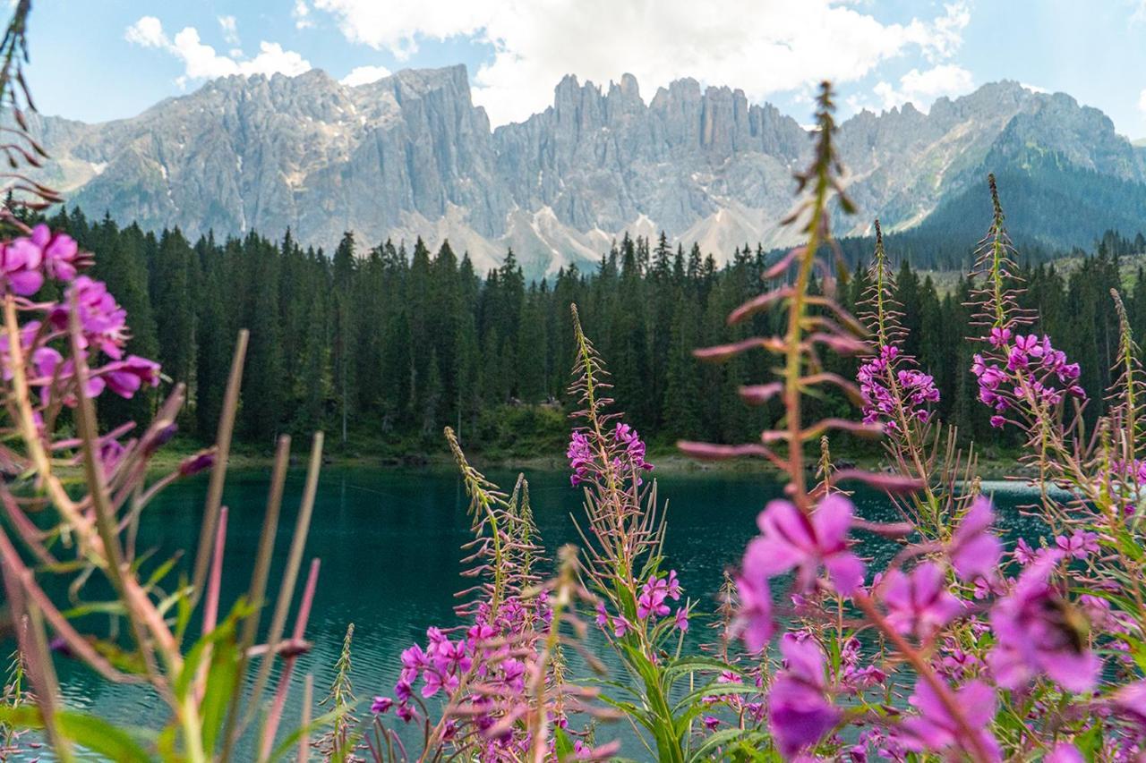 Moseralm Dolomiti Hotel Welschnofen